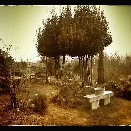 Couette-café Da Giacomone Ameno